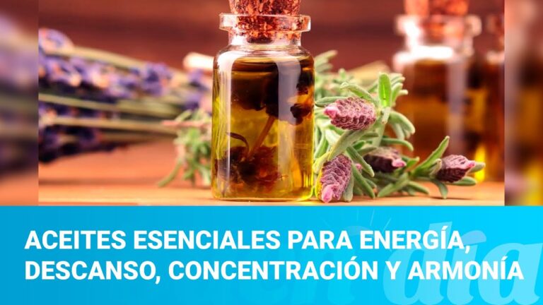 Potencia tu Concentración con Aromaterapia