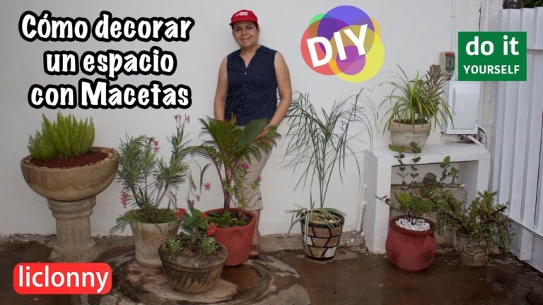Ideas Creativas para Renovar Tu Jardín con Maceteros