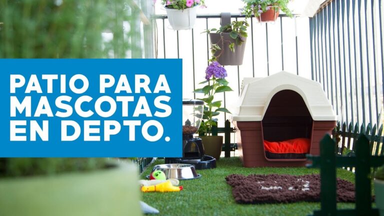 Transforma tu patio en el para&iacute;so de tus mascotas