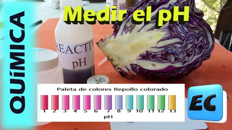 Herramientas Efectivas para Medir el pH del Agua de la Piscina