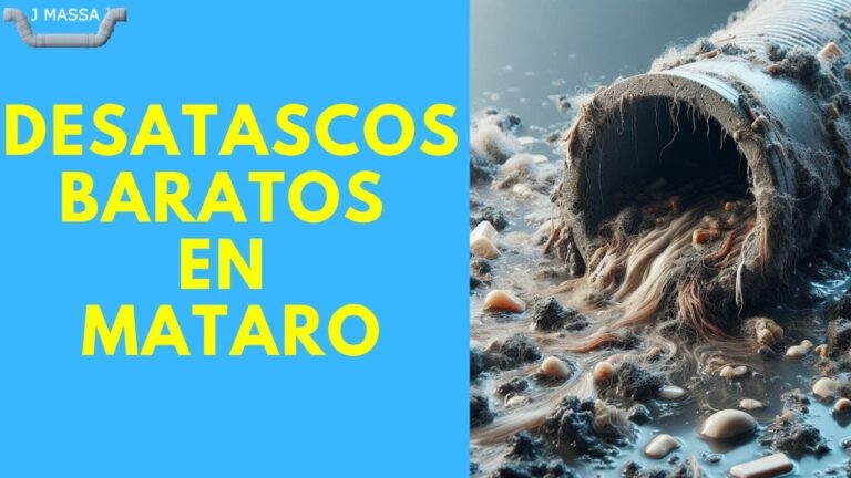 Profesionales Capacitados en Vaciado y Limpieza para Mantenimiento de Piscinas