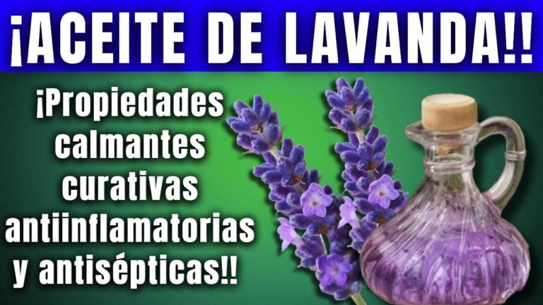 Aromaterapia: Potencia tu Meditaci&oacute;n con Esencias Naturales