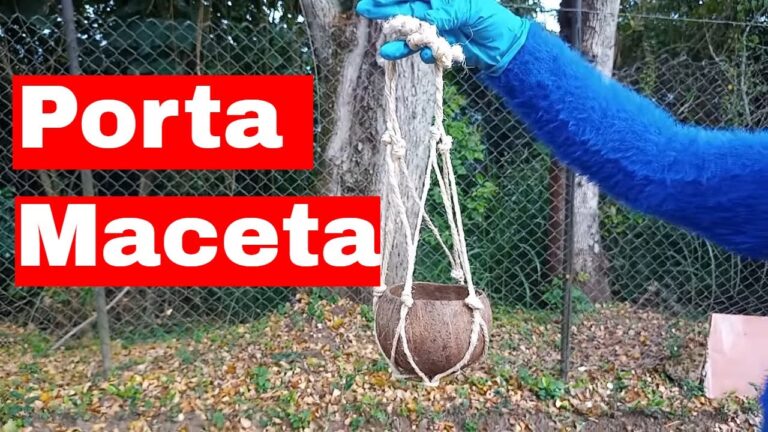 11 Beneficios de Tener un Columpio Colgante en Tu Jard&iacute;n