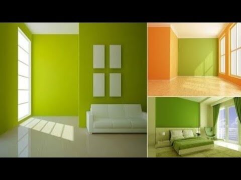 Transforma tu espacio exterior con un muro verde inspirador