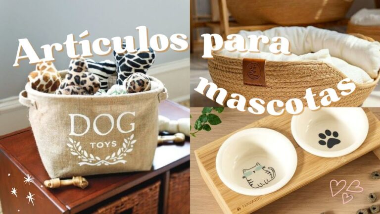 Los Mejores Accesorios para un Día de Spa Perfecto