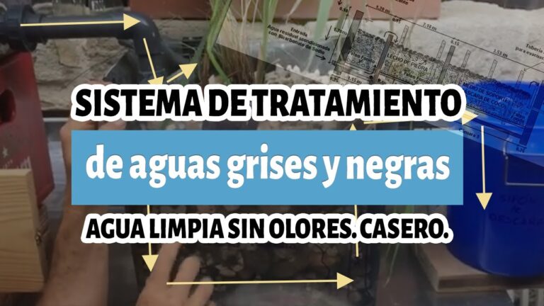 Técnicas Efectivas para Eliminar Malos Olores en Piscinas | Actualizado