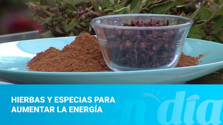 Aromaterapia: Beneficios para Aumentar la Energía