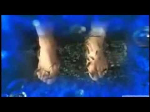 Beneficios de la Spa de Ictioterapia para la Relajaci&oacute;n
