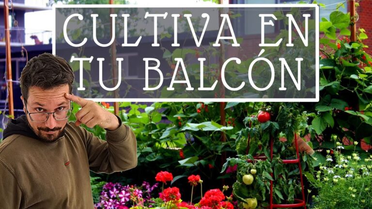 Sostenibilidad y Huertos Urbanos: Cultiva tu Espacio Exterior