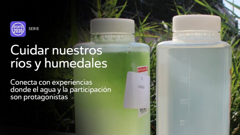 Transformando la Recuperaci&oacute;n: La Experiencia en un Balneario