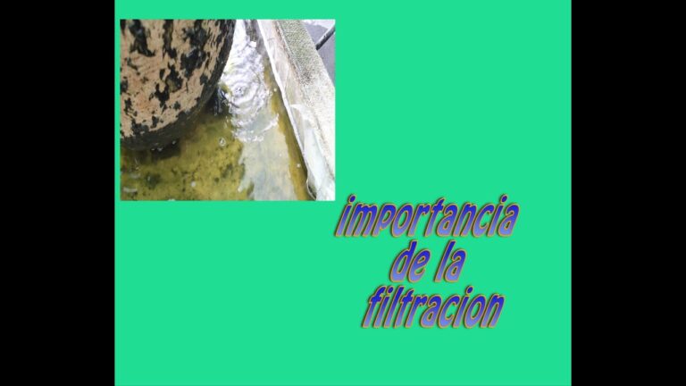 Consejos para un Estanque Decorativo Impecable