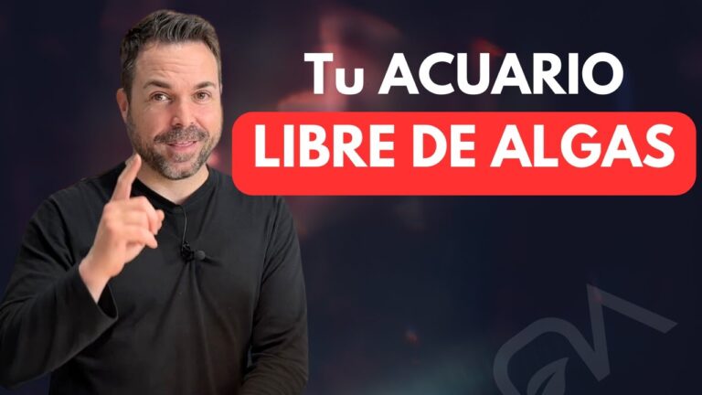 Consejos Efectivos para Mantener el Agua Libre de Algas