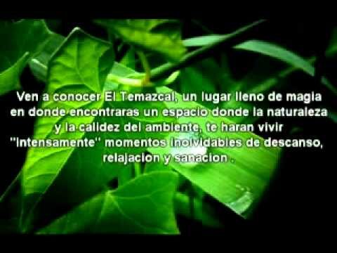 Los Mejores Destinos para Disfrutar de Masajes de Aromaterapia