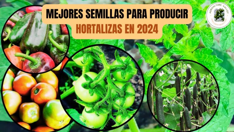Resistencia al Clima: Clave en la Toma de Decisiones