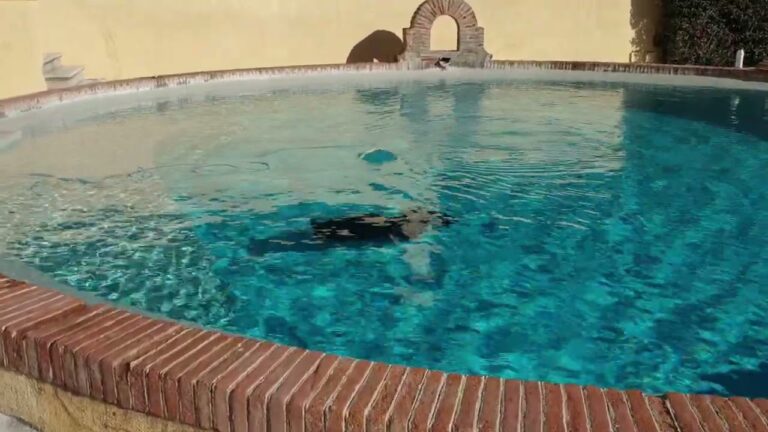 Reparaci&oacute;n Efectiva de Fugas en Piscinas: Gu&iacute;a Pr&aacute;ctica