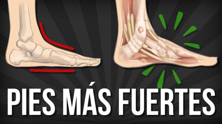 Comparación de Modelos en Programas de Hidroterapia