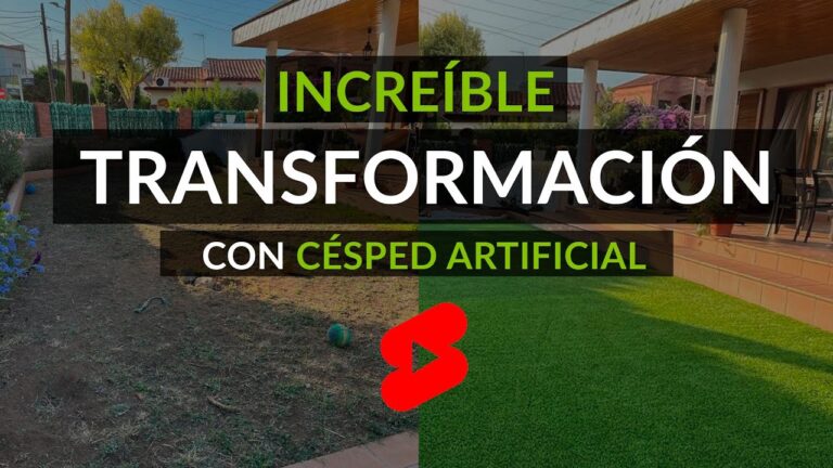 Transforma Tu Patio con un Muro Verde Total