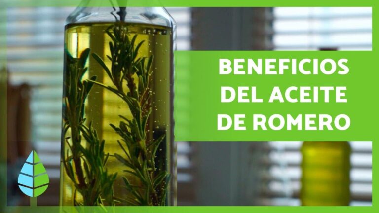 Consejos de Aromaterapia para Mejorar la Concentración