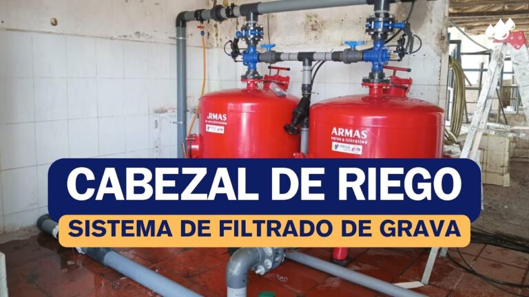 Impacto del Mantenimiento de Piscinas en el Sistema de Riego
