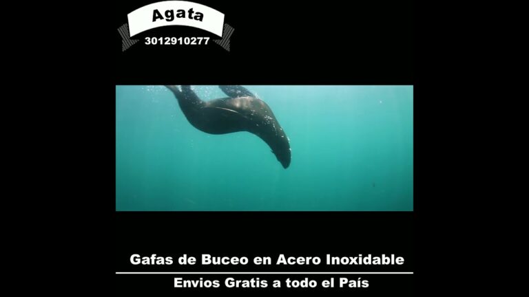 Máscara de Snorkel: Esencial para Buceo
