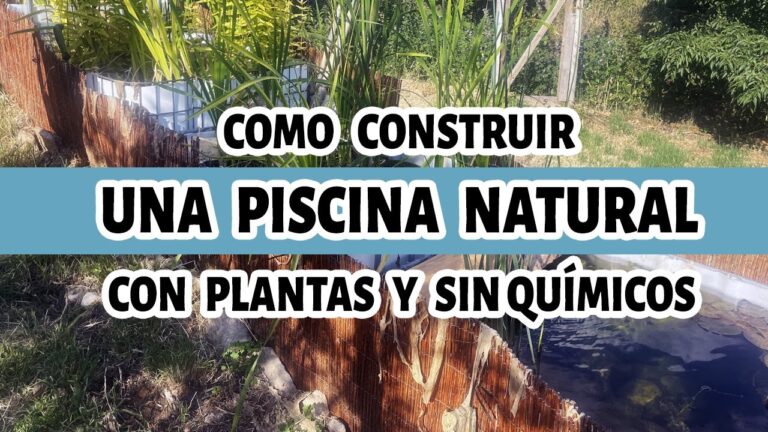 T&eacute;cnicas Efectivas para el Mantenimiento de Ba&ntilde;os en Balnearios