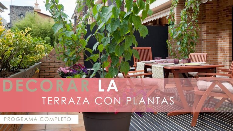 Crea un Rincón Acogedor con un Columpio Colgante
