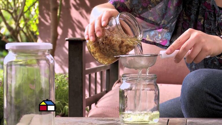 Aprovecha la Aromaterapia en Casa: Gu&iacute;a Pr&aacute;ctica