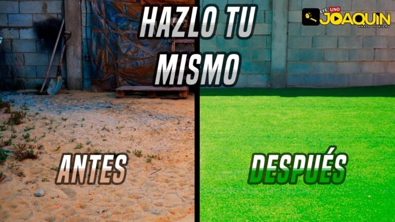 Transforma tu patio en una cancha deportiva: opciones pr&aacute;cticas