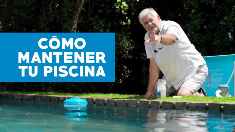 Elementos Clave para Crear la Piscina Natural Ideal