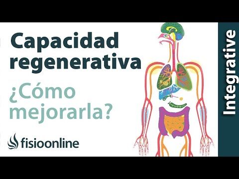 Desintoxicar la Piel: Clave para la Salud Integral