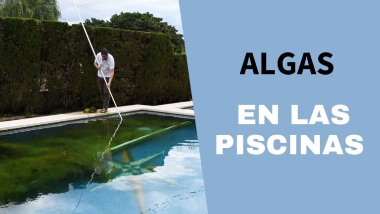 Prevención y Tratamiento de Algas en el Mantenimiento de Piscinas