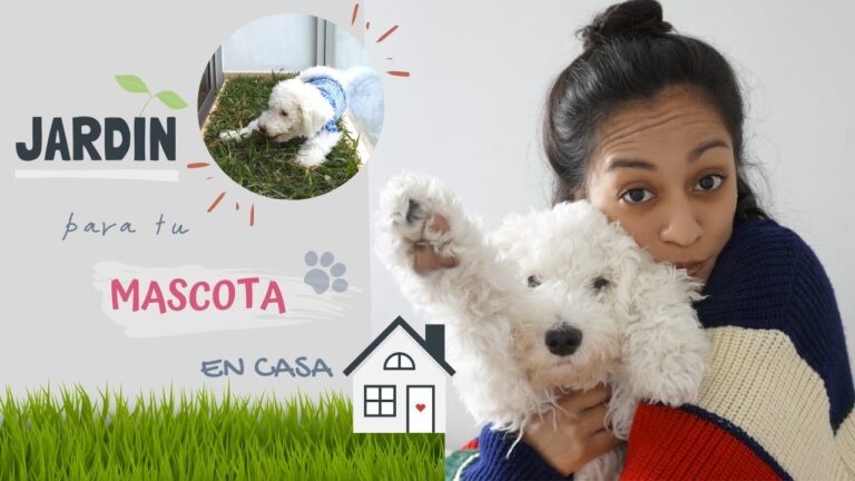 Transforma tu terraza en un refugio especial para tus mascotas
