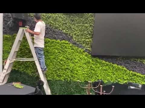 Dise&ntilde;os Innovadores para Muros Verdes