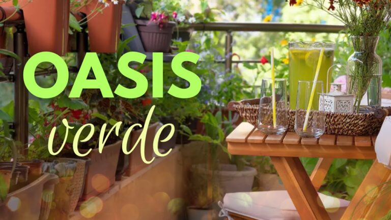 Transforma tu Terraza en un Oasis Zen
