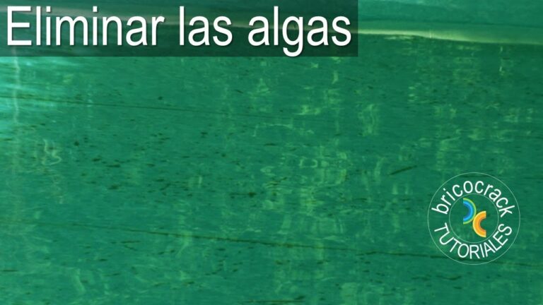 Algas en Piscinas: Soluciones Efectivas a Problemas Comunes