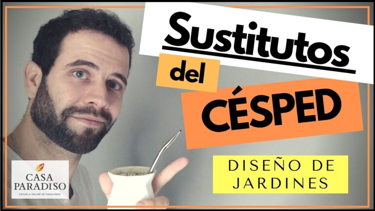 C&eacute;sped Artificial: La Opci&oacute;n Sostenible para tu Jard&iacute;n