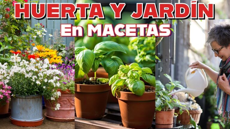 Ideas Creativas para Maceteros de Jard&iacute;n