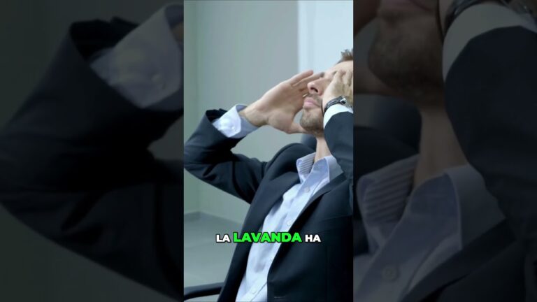 Aromaterapia: Tu Aliada Contra la Ansiedad