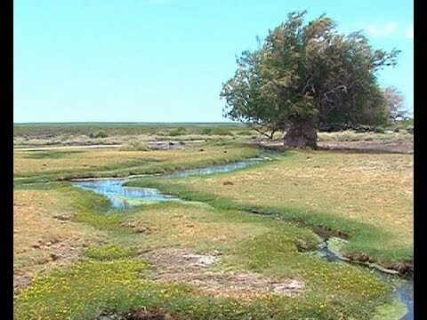 Inmersión en la Naturaleza: Balnearios y Baños de Barro