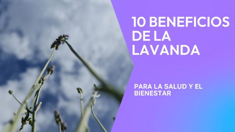 Aromas para el Equilibrio Emocional