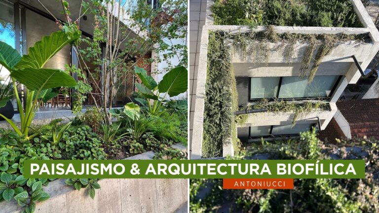 Innovaci&oacute;n en Arquitectura Paisajista: Los Beneficios de los Techos Verdes