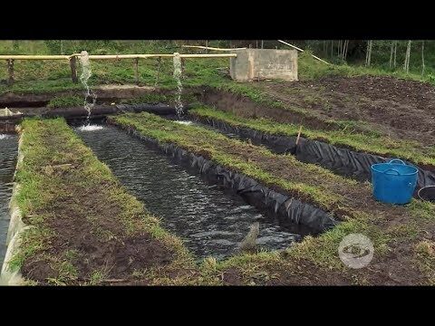 Mantenimiento Eficiente de Piscinas con Productos Espec&iacute;ficos y Control de Temperatura