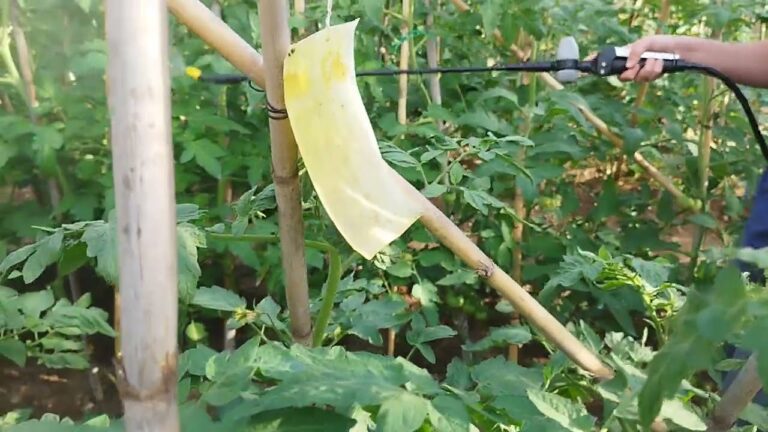 Mejoras y Actualizaciones Esenciales para Jacuzzis