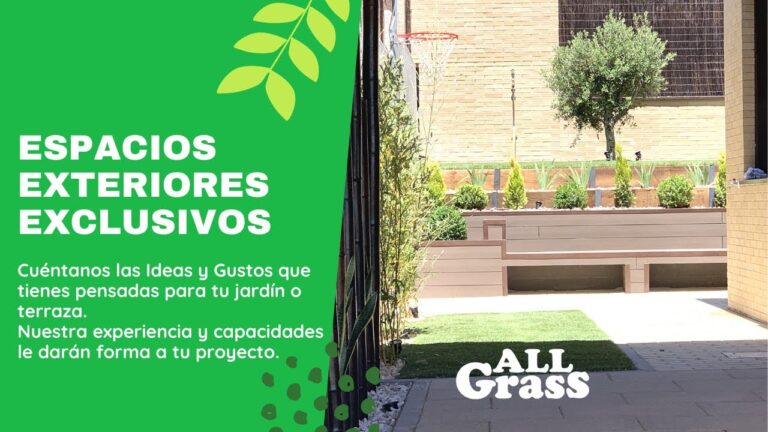 Transforma tu jardín en un oasis sostenible