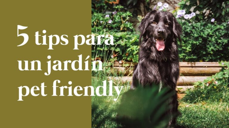 Transforma tu Jard&iacute;n en un Para&iacute;so para Mascotas
