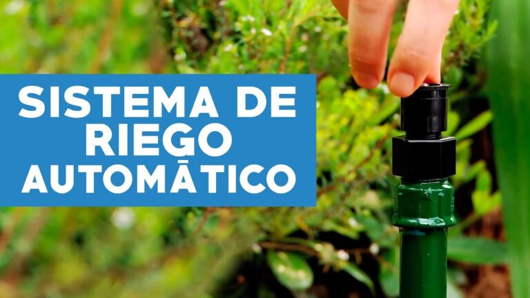 Soluciones Eficientes para el Riego en Espacios Exteriores