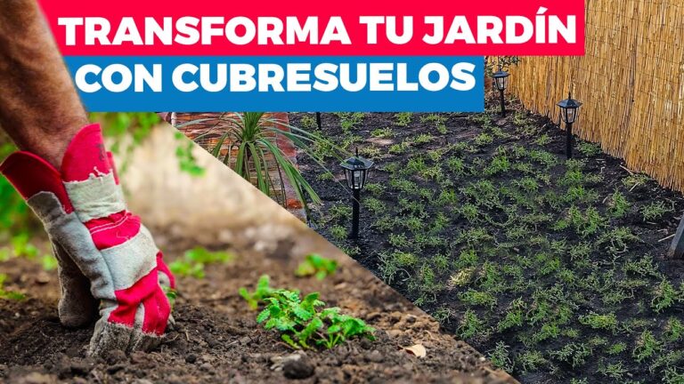 Transforma tu espacio exterior con un sistema de riego moderno