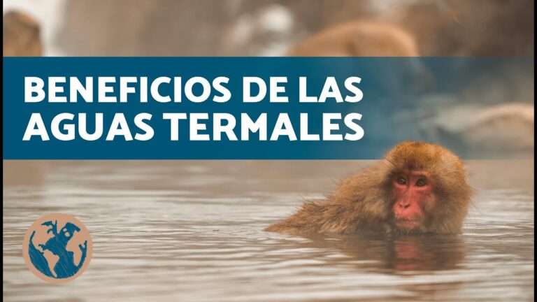 Sistemas de Calefacci&oacute;n Eficientes para Balnearios