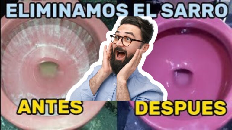 Cuidados Esenciales para la Limpieza en Balnearios